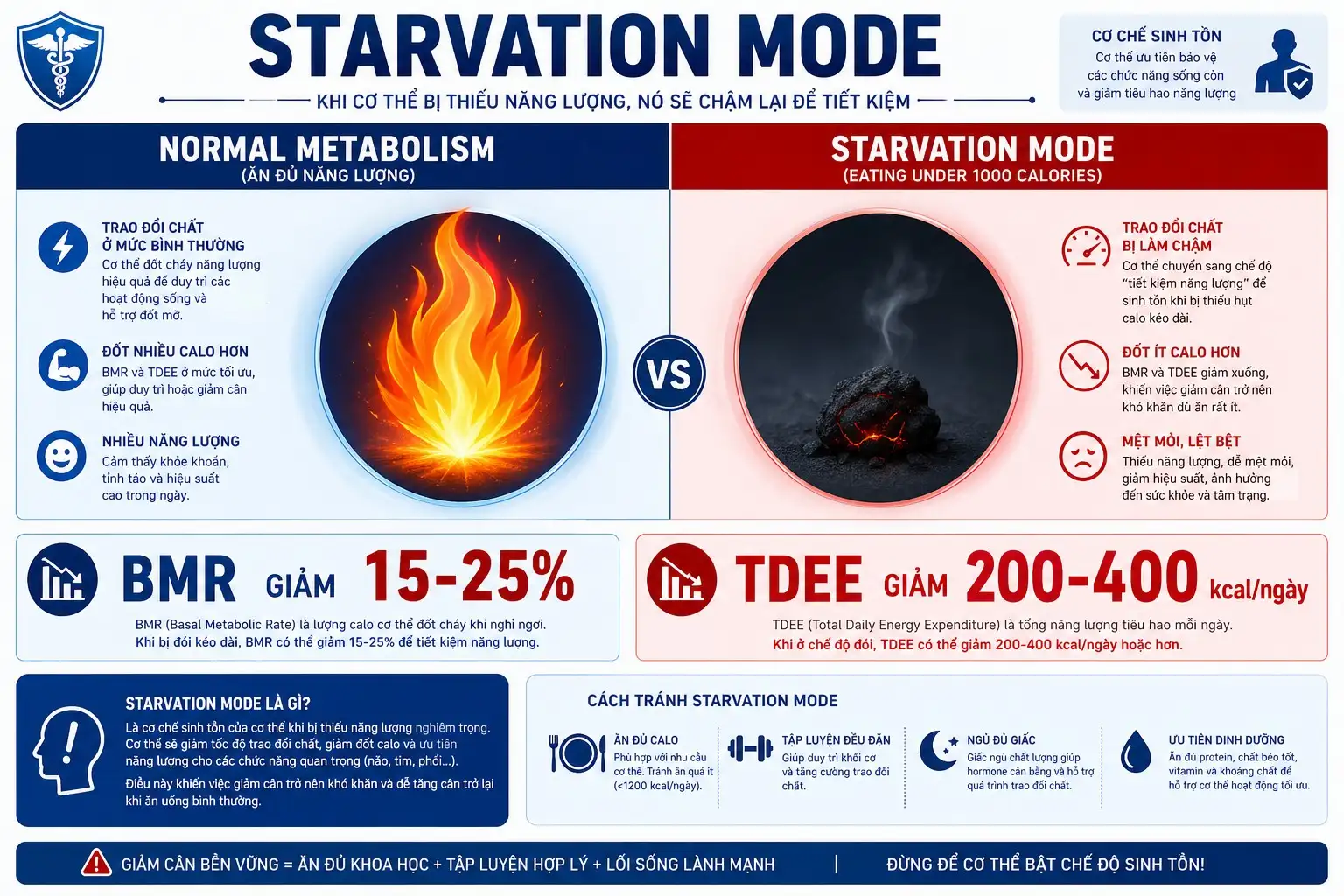Infographic giải thích cơ chế Starvation Mode khi ăn dưới 1000 calo khiến BMR giảm 15-25%
