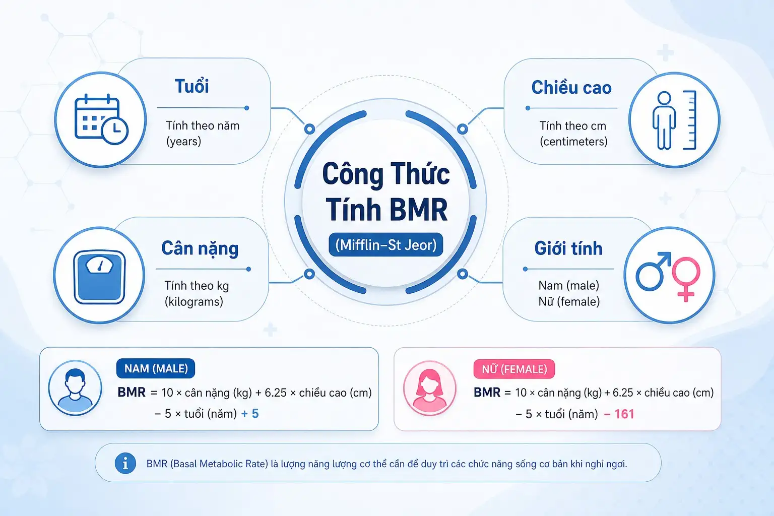 Infographic mô tả các thành phần cần thiết để tính công thức BMR Mifflin-St Jeor.