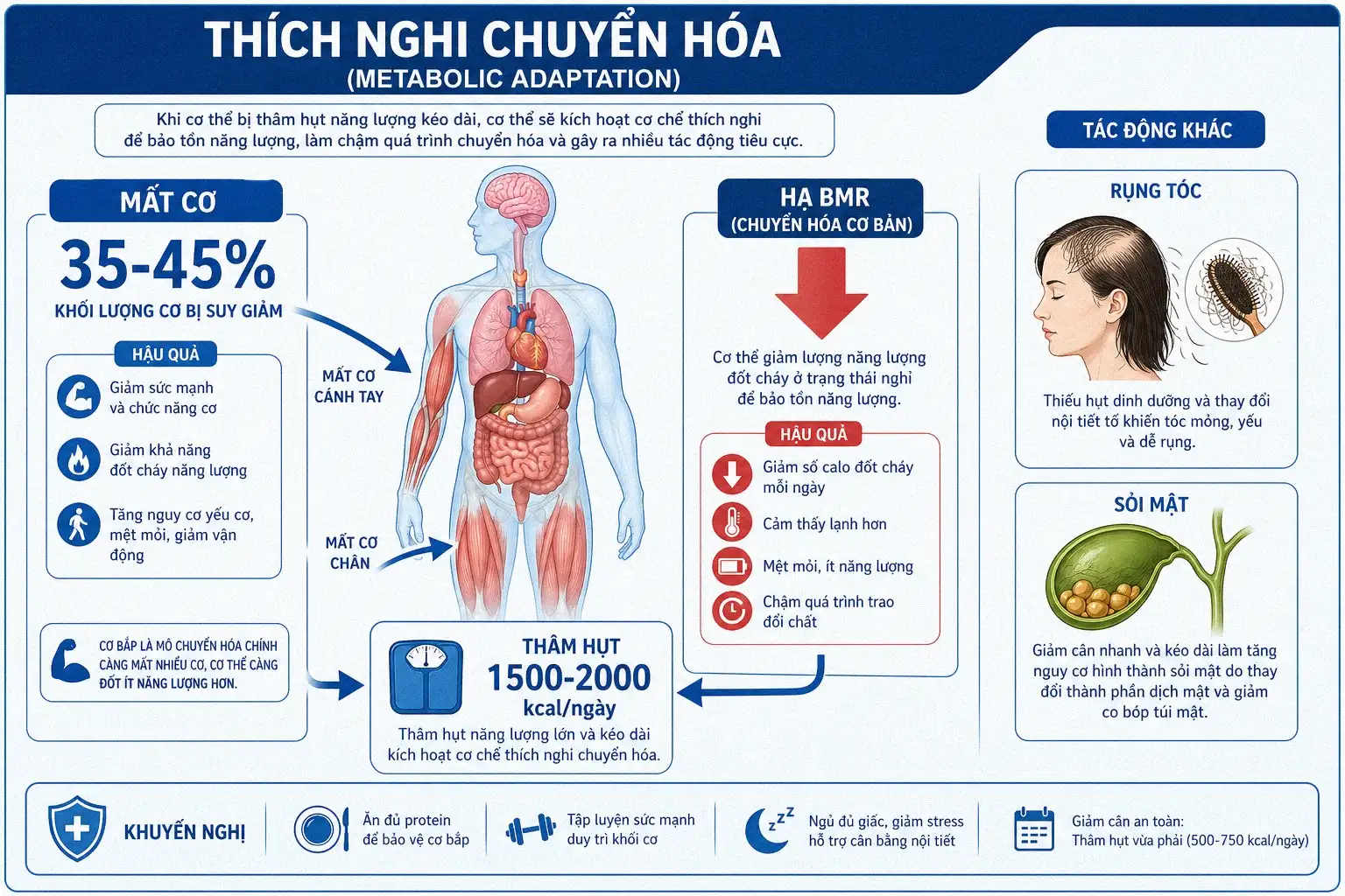 Sơ đồ infographic về tác động của việc thâm hụt 2000 calo và mất cơ 35-45%