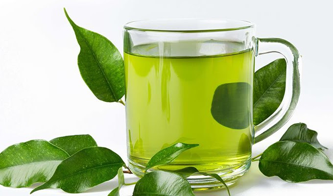uống nước lá sung có giảm cân không 1805